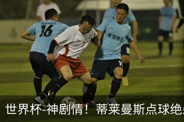 世界杯-神剧情！蒂莱曼斯点球绝杀 比利时加时3-2塞内加尔